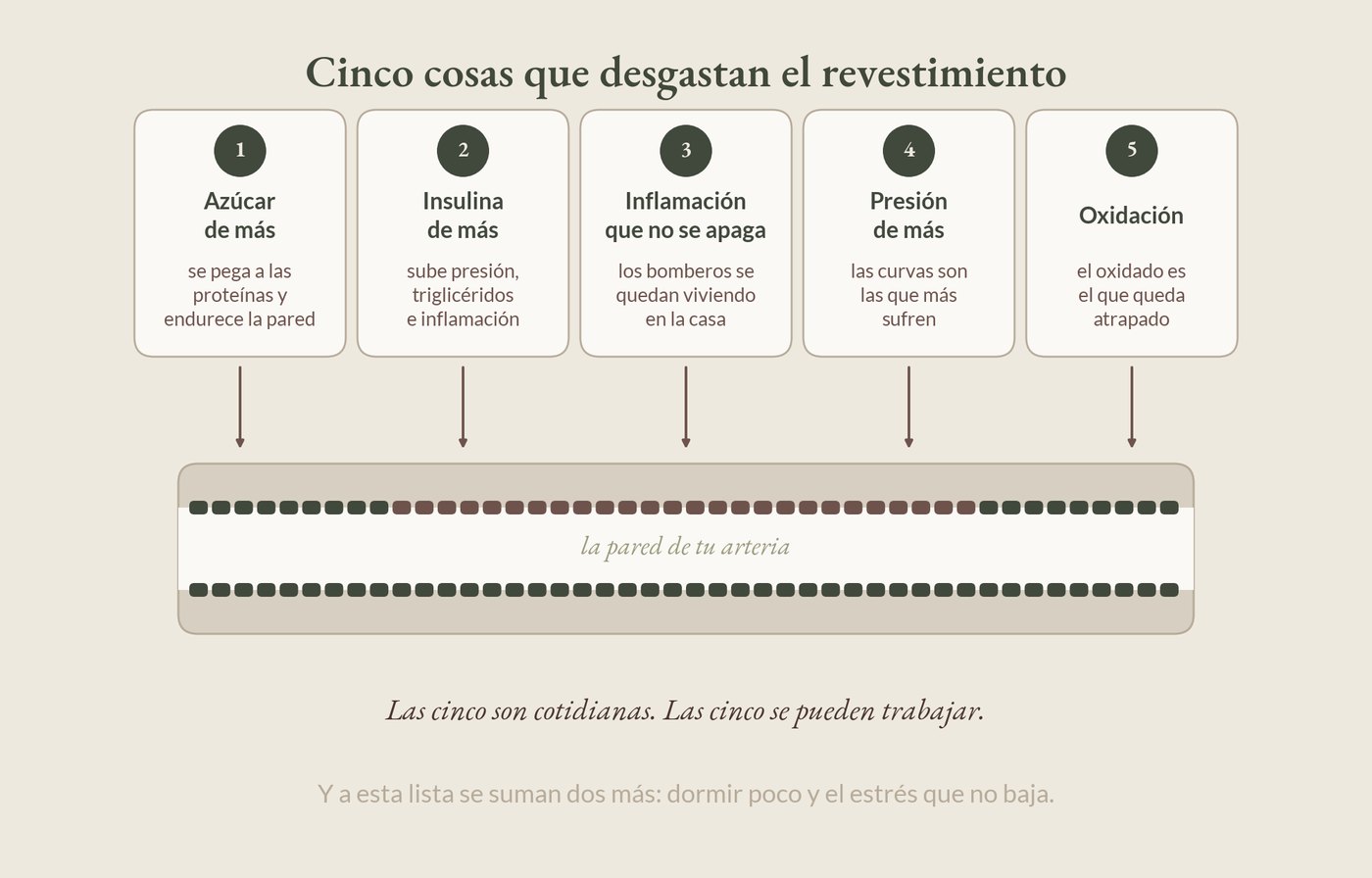 Los cinco factores que desgastan las tuberías