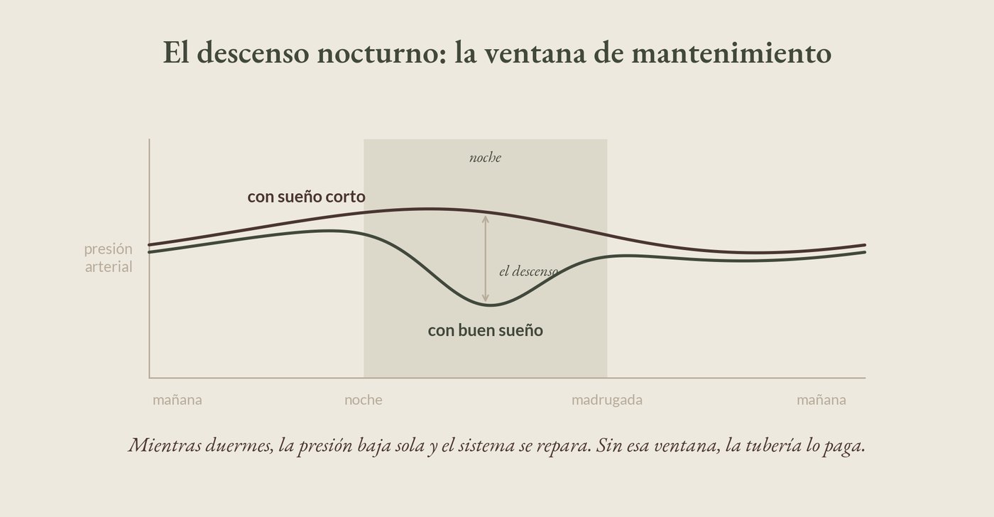 El descenso nocturno de la presión