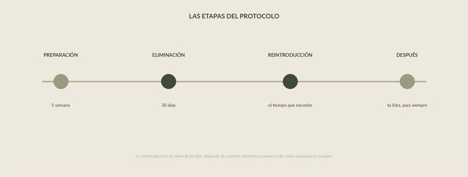 Las etapas del protocolo
