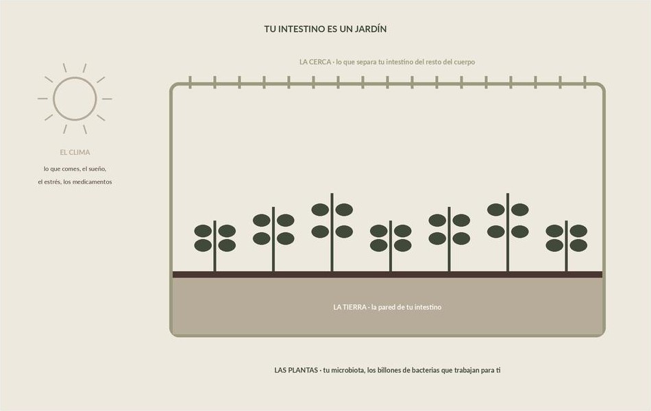 Tu intestino es un jardín