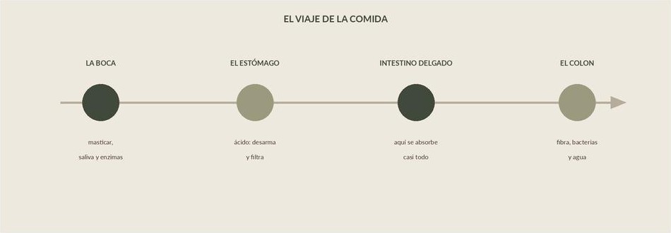 El viaje de la comida