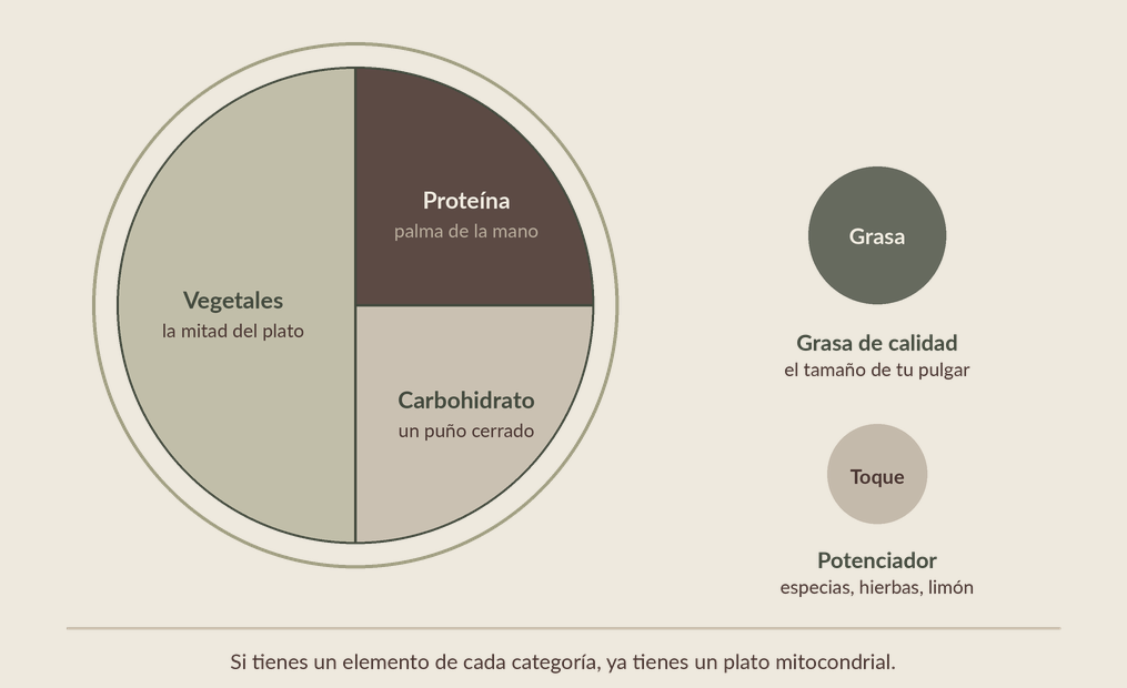 La fórmula del plato mitocondrial