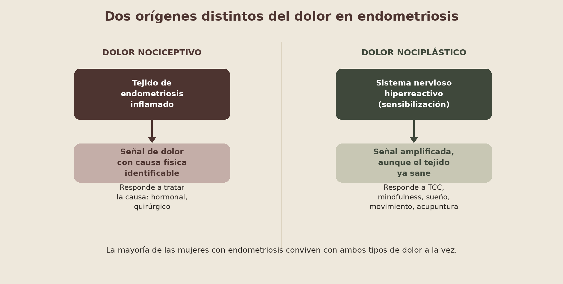 Dos orígenes distintos del dolor en endometriosis: nociceptivo (tejido) y nociplástico (sistema nervioso)